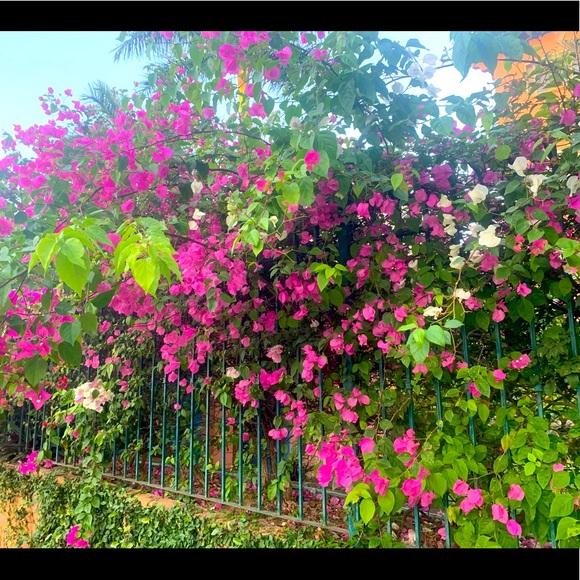 Meet your Posher, Kendra - Picture 1 of 1